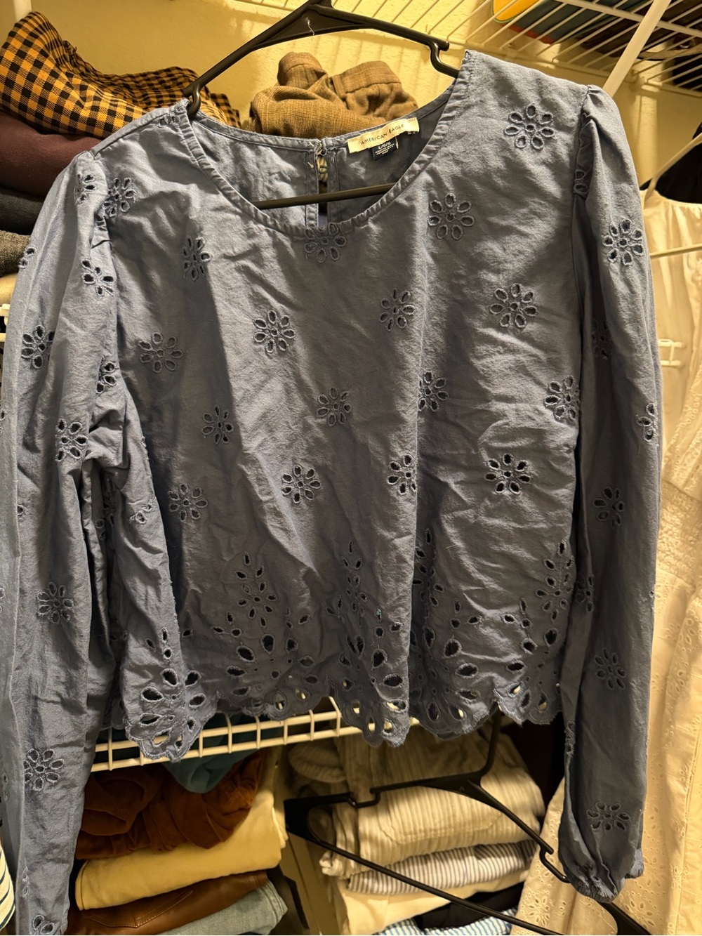 American Eagle Outfitters Dusty Blue Eyelet Long-Sleeve Blouse